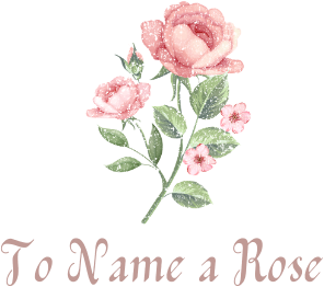 To Name a Rose